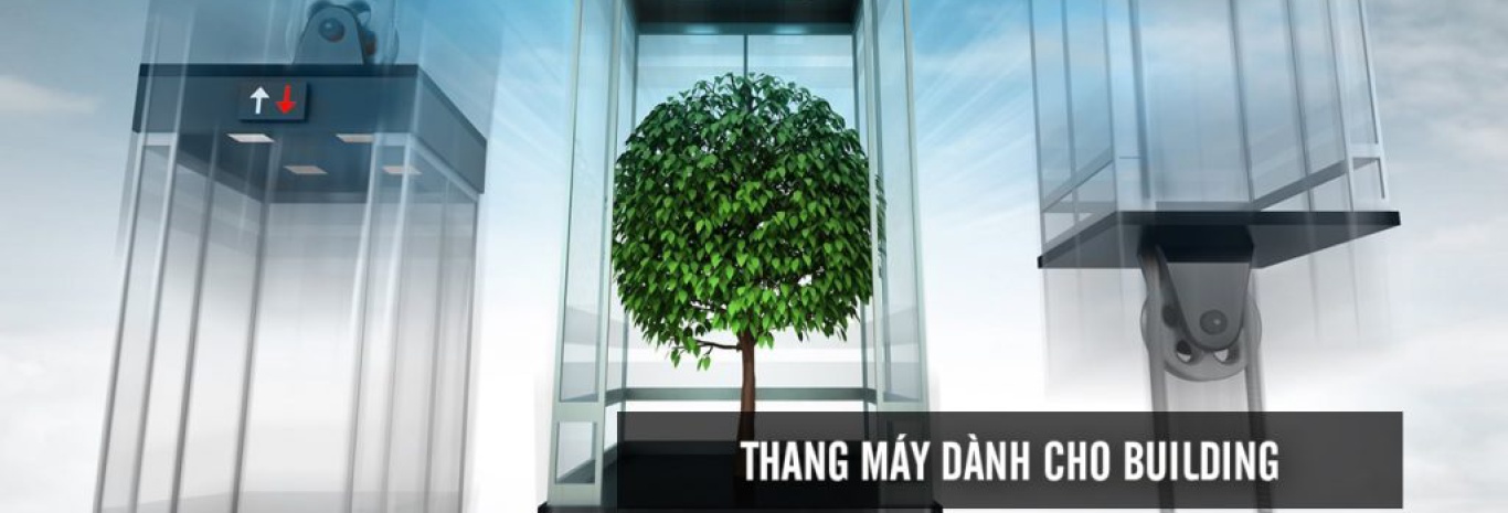 THANG MÁY LỒNG KÍNH
