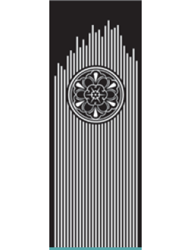 TTE - AM 06