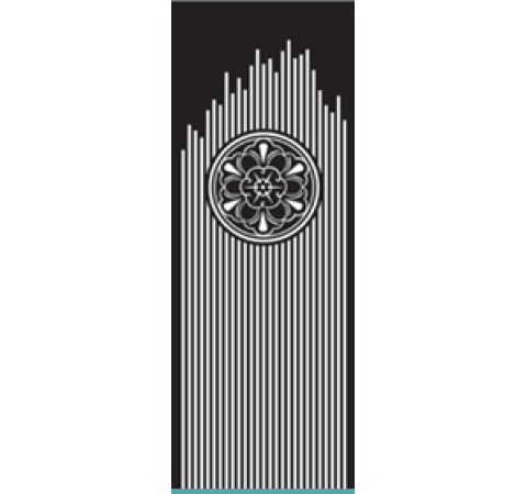 TTE - AM 06